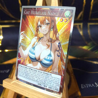 Secret Rare Full-Art - Cat Burglar Nami (Titanium Silver Rare)