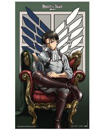 Attack on Titan Textil-Poster Levi 70 x 120 cm
