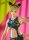 JoJos Bizarre Adventure: Stone Ocean Pop Up Parade PVC Statue Jolyne Cujoh 17 cm