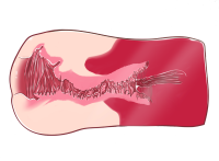 Gokusai Uterus Kai Abyss Original Gokusai Uterus Onahole