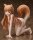 Spice and Wolf PVC Statue 1/4 Holo (Rerelease) 19 cm