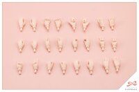 Sousai Shojo Teien Plastic Model Kit 1/10 Seira Ichijo Cheerleading Costume Dreaming Style Vitamin Yell Ver. 16 cm