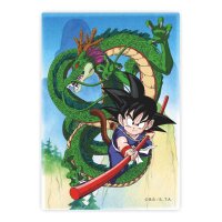 Dragon Ball Magnet Shenron und Goku