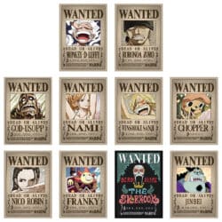 One Piece Wanted Poster - Straw Hat Crew (Post Onigashima Arc)